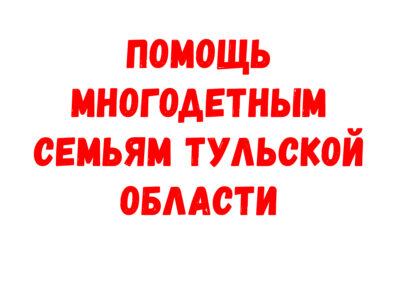 Помощь многодетным семьям Тульской области
