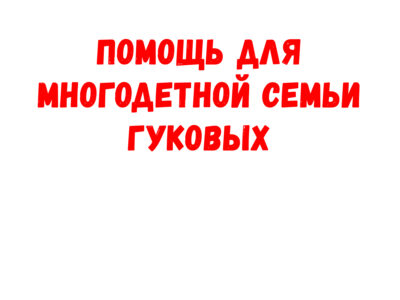 Помощь для многодетной семьи Гуковых